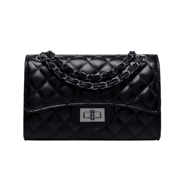 ladies elegant handbag